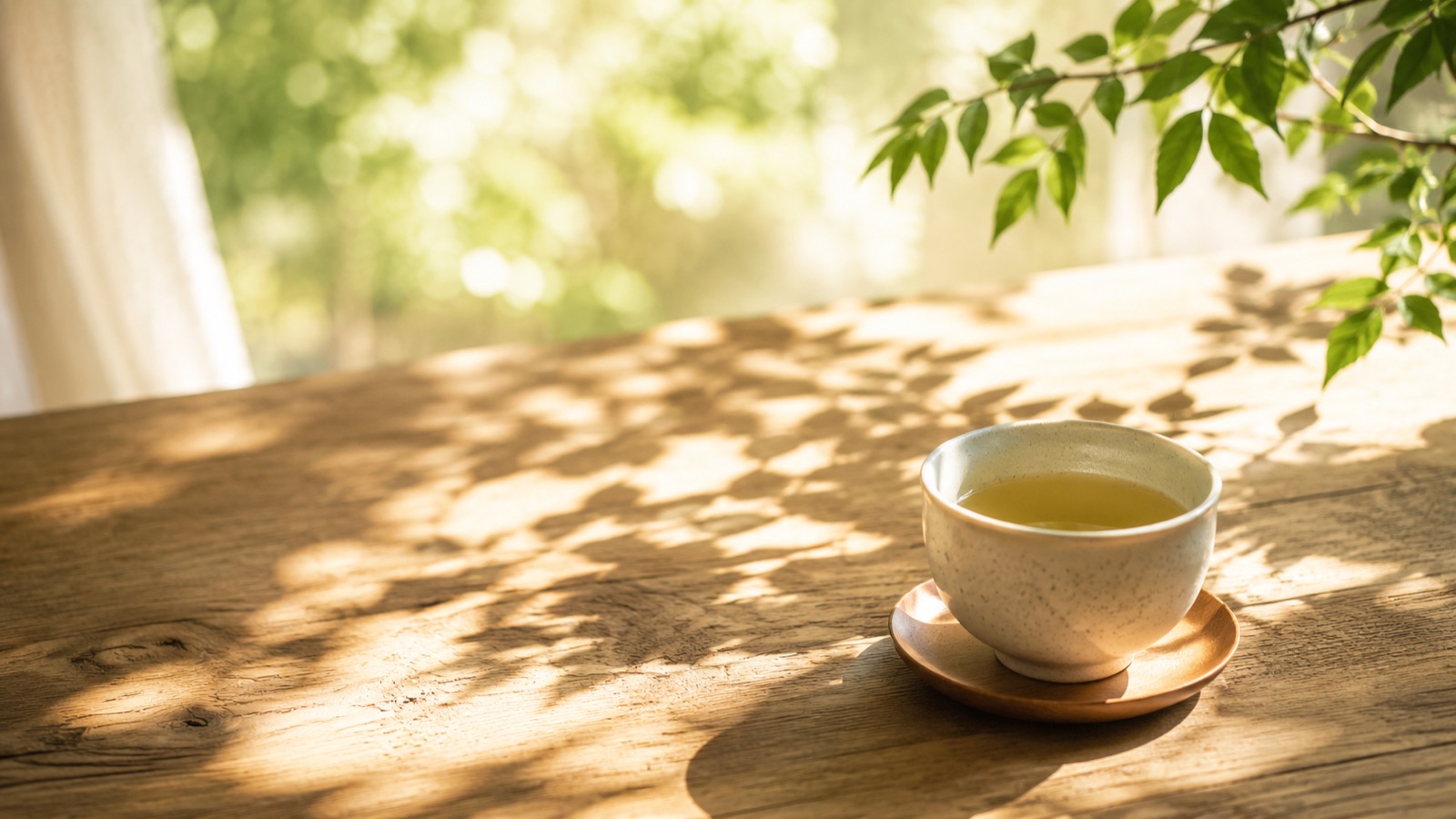 木漏れ日の差し込む窓辺、木のテーブルに置かれた一服のお茶